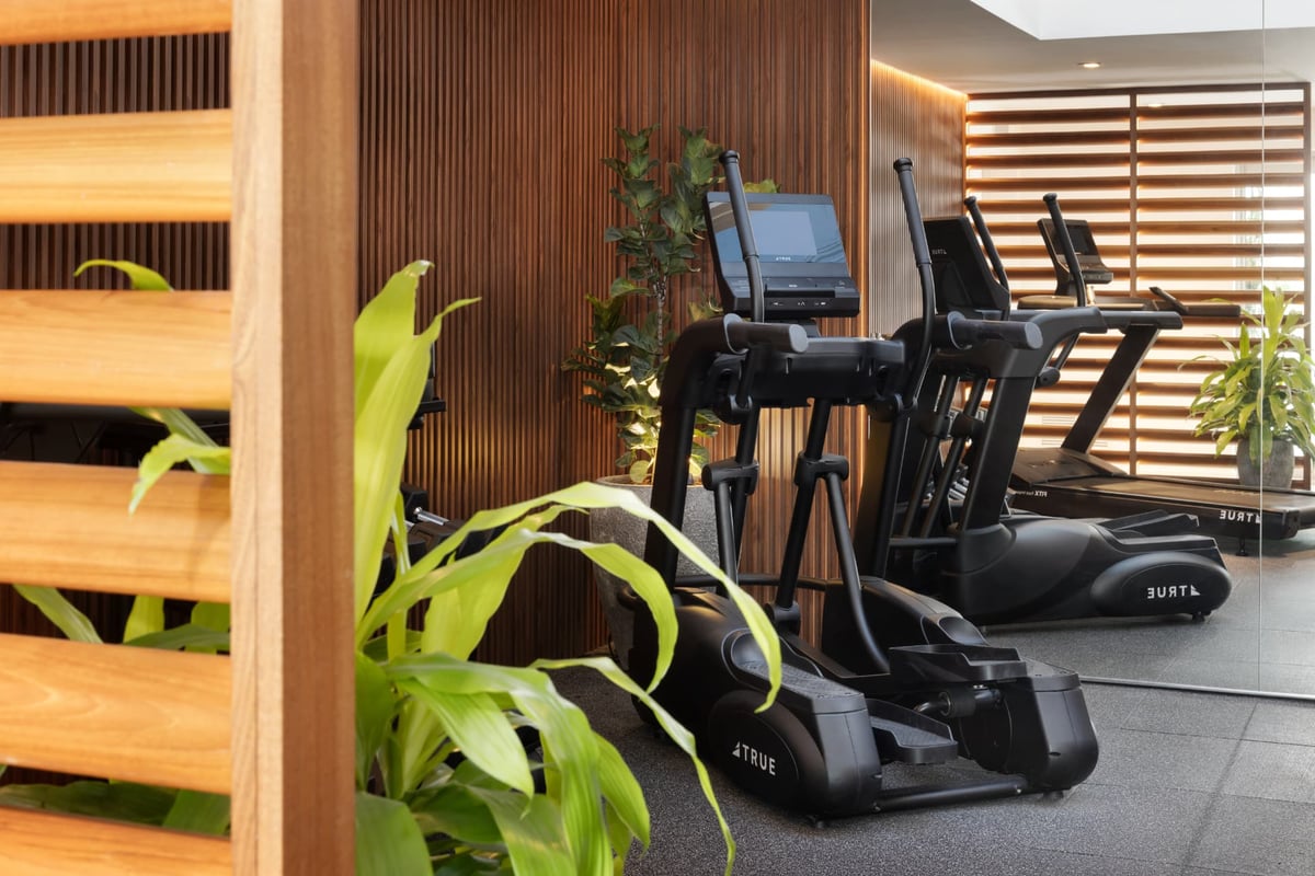 Cardio row at MB Hotel — ellipticals and a treadmill facing the louvred timber screen, mirrored wall doubling the greenery